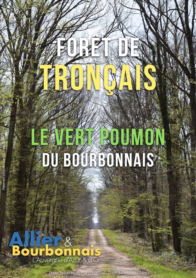 Affiche : Forêt de Tronçais