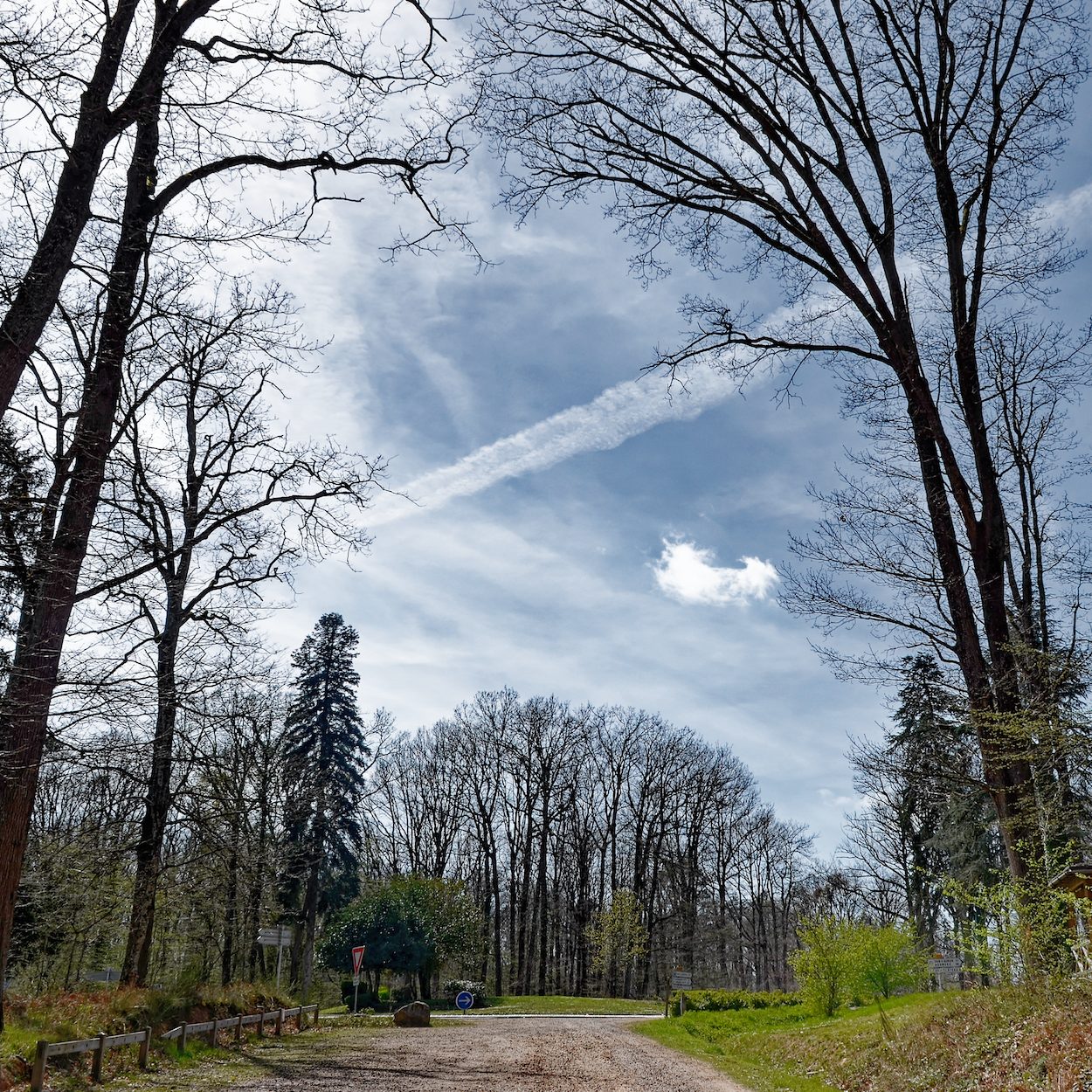 Forêt de Tronçais