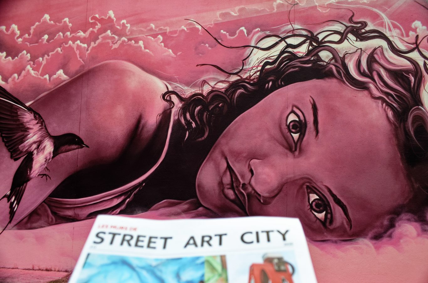 ''Printemps rose'' by Aéro - Street Art City - Lurcy-Lévis